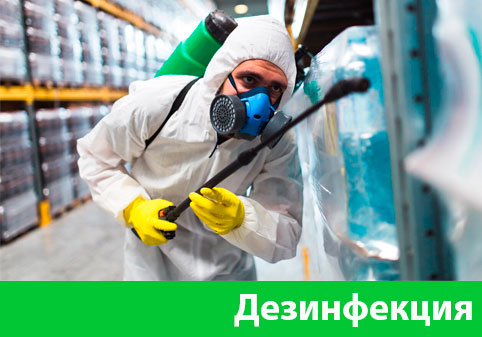 Дезинфекция в городе Белгород