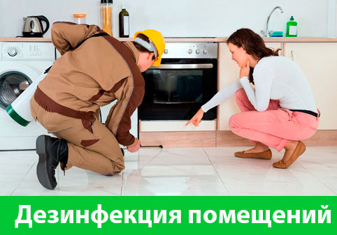 Дезинфекция офисов от коронавируса в городе Белгород