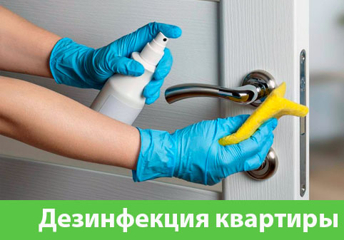Дезинфекция квартиры в городе Белгород
