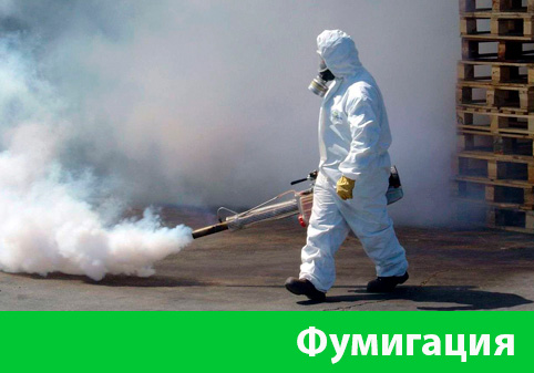 Фумигация в городе Белгород