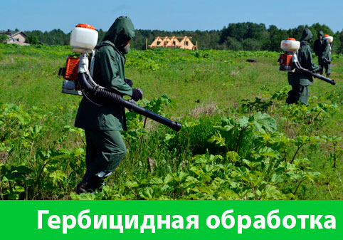 Гербицидная обработка в городе Белгород