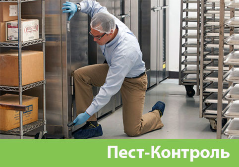 Пэст-Контроль в городе Белгород