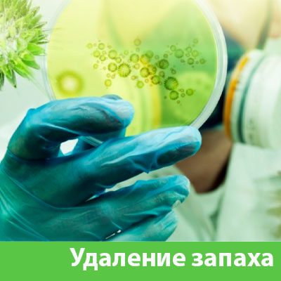 Удаление запахов в Белгороде