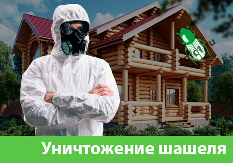 Уничтожение шашеля и личинок в Белгороде