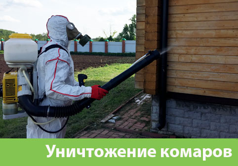 Уничтожение комаров в городе Белгород