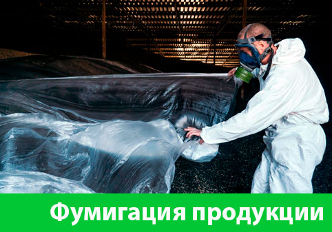 Фумигация продукции в городе Белгород